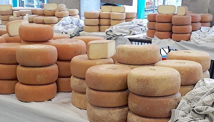 120 FROMAGES – La Foire d’Oloron propose un concours très prisé